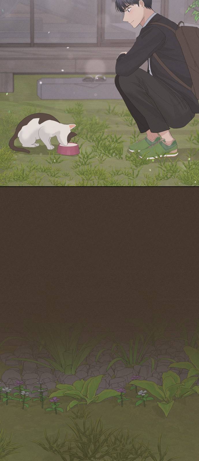 완벽한 결혼의 정석 39화 61