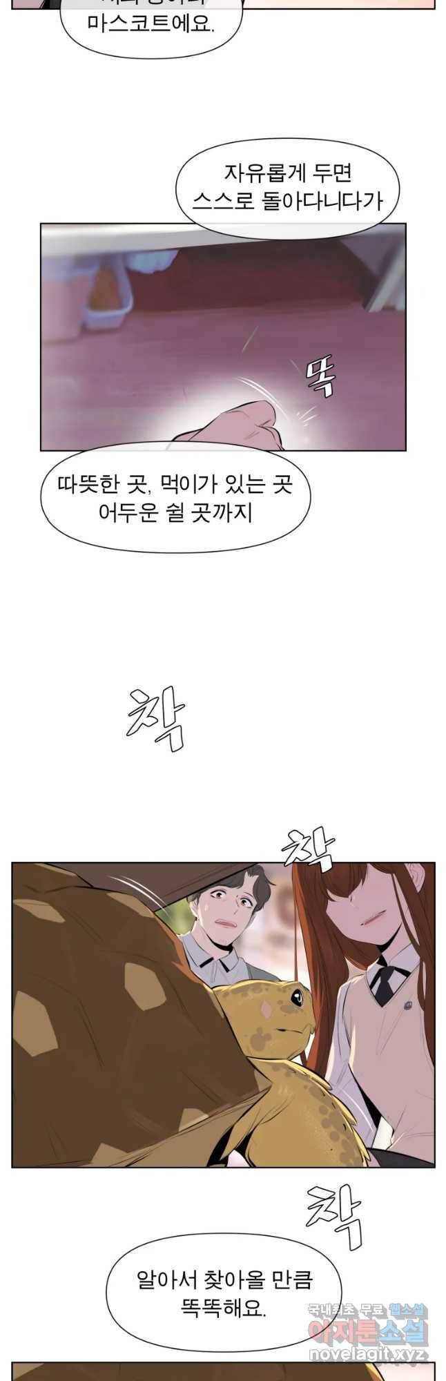 케어시트 27화 불법 31