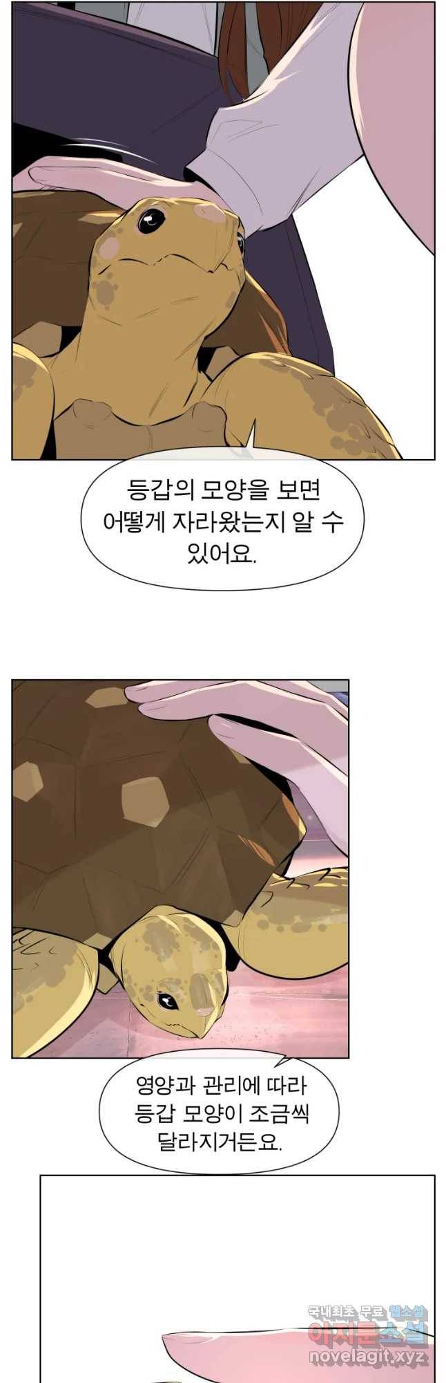 케어시트 27화 불법 37
