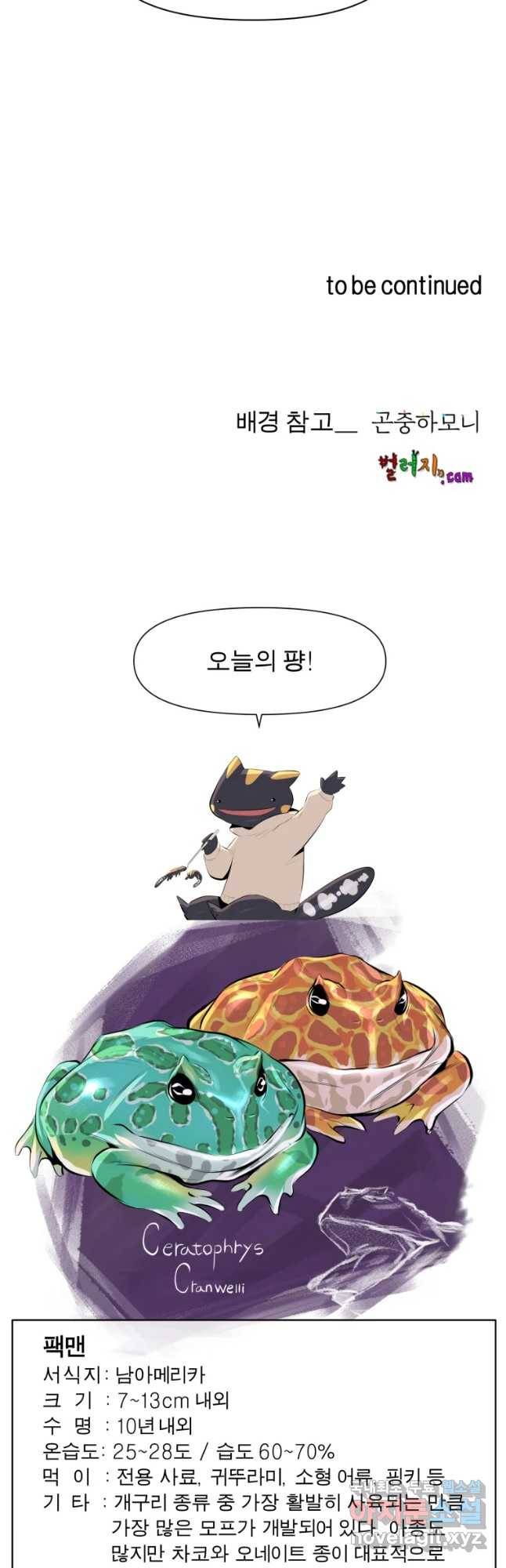 케어시트 27화 불법 42