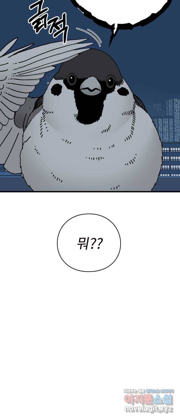 아이즈 48화 10