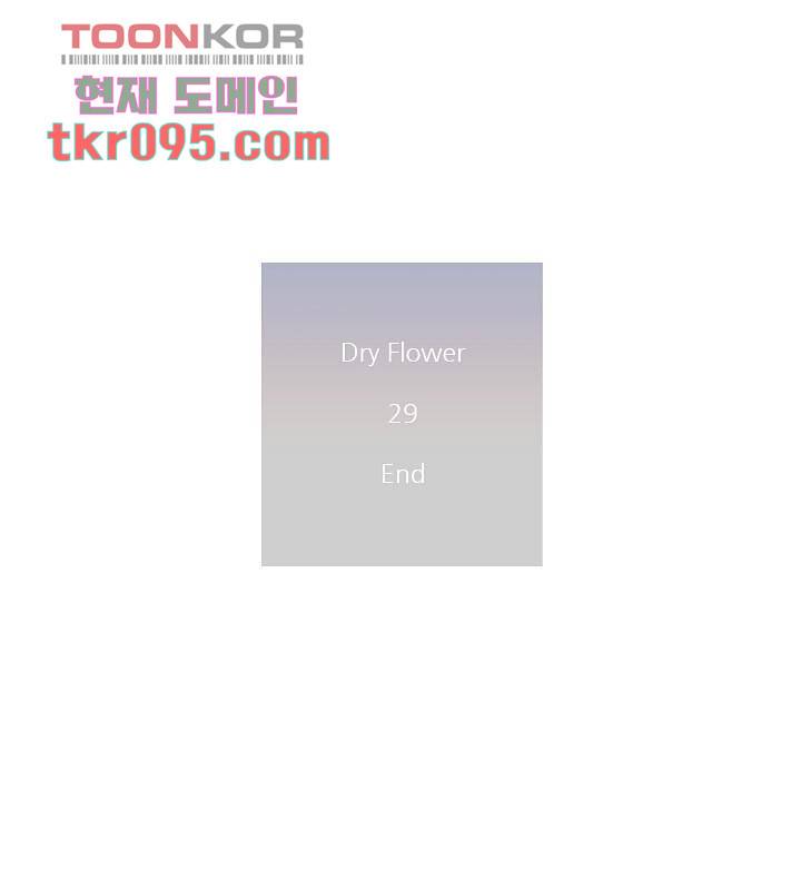 드라이 플라워 (Dry flower) 29화 46