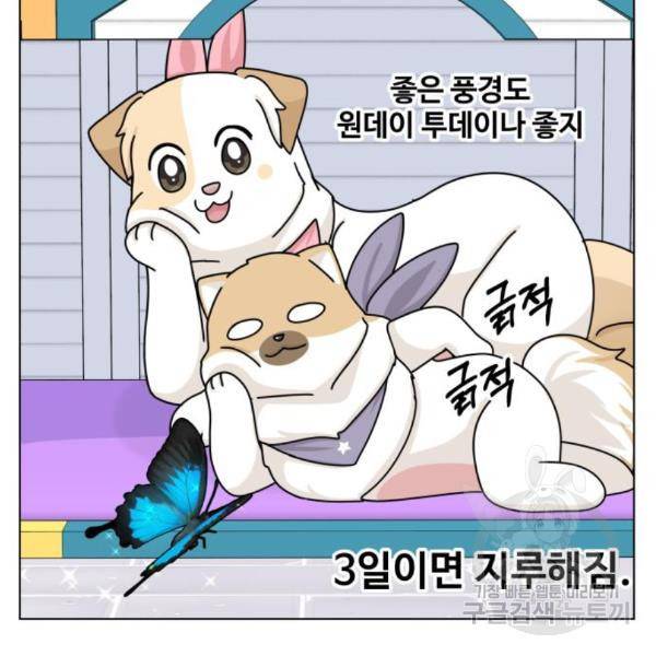 개를 낳았다 시즌2 95화 22