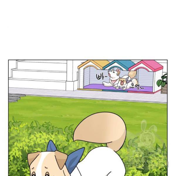 개를 낳았다 시즌2 95화 23