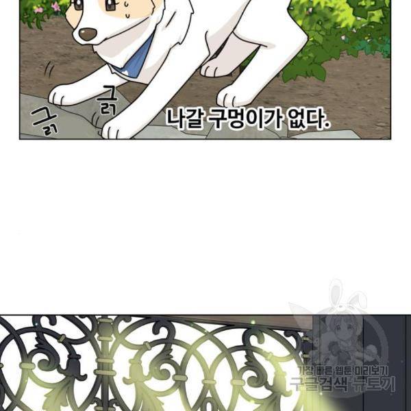 개를 낳았다 시즌2 95화 24