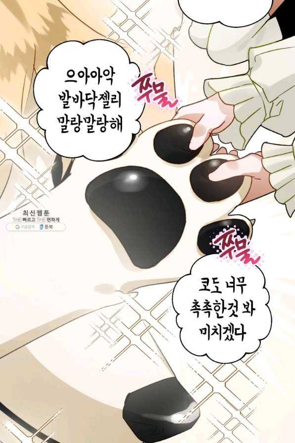하필이면 까마귀가 되어버렸다 37화 45