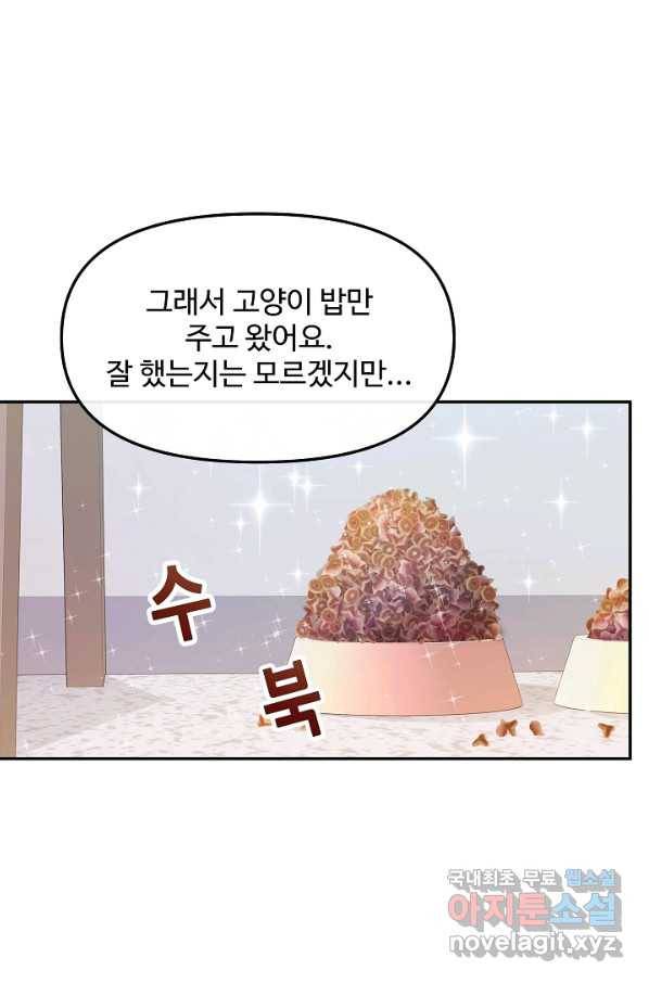 우리집 고양이는 베지테리언 31화 나를 위한 시간 52