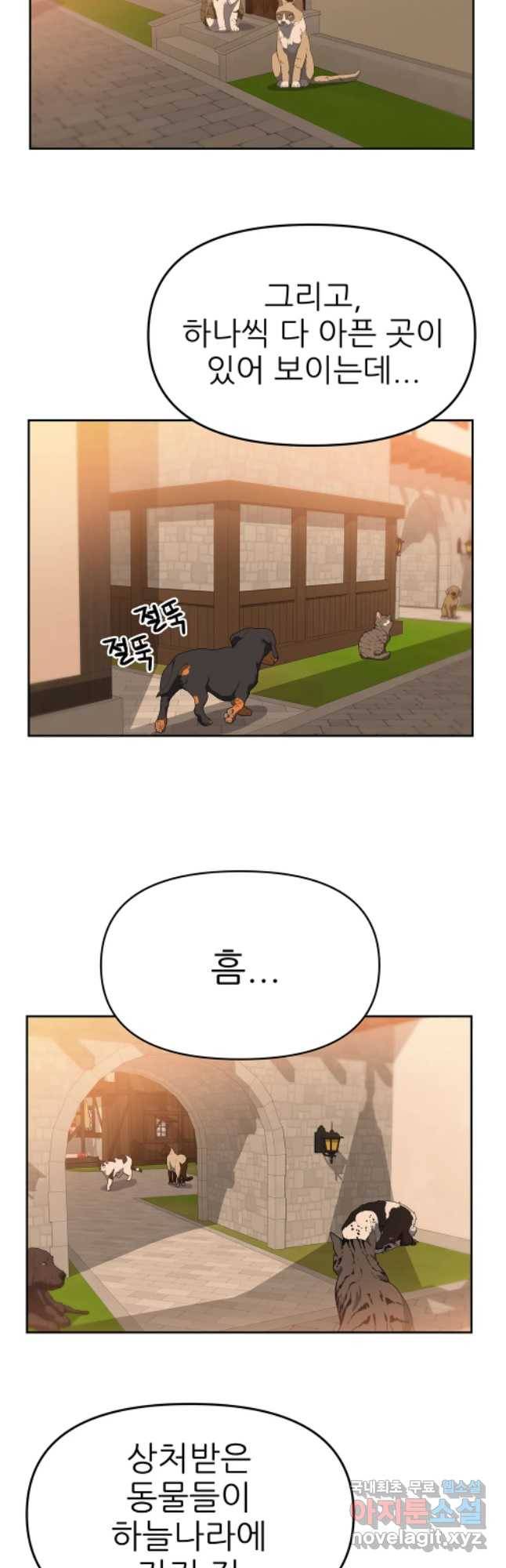 무지개다리 파수꾼 63화 24
