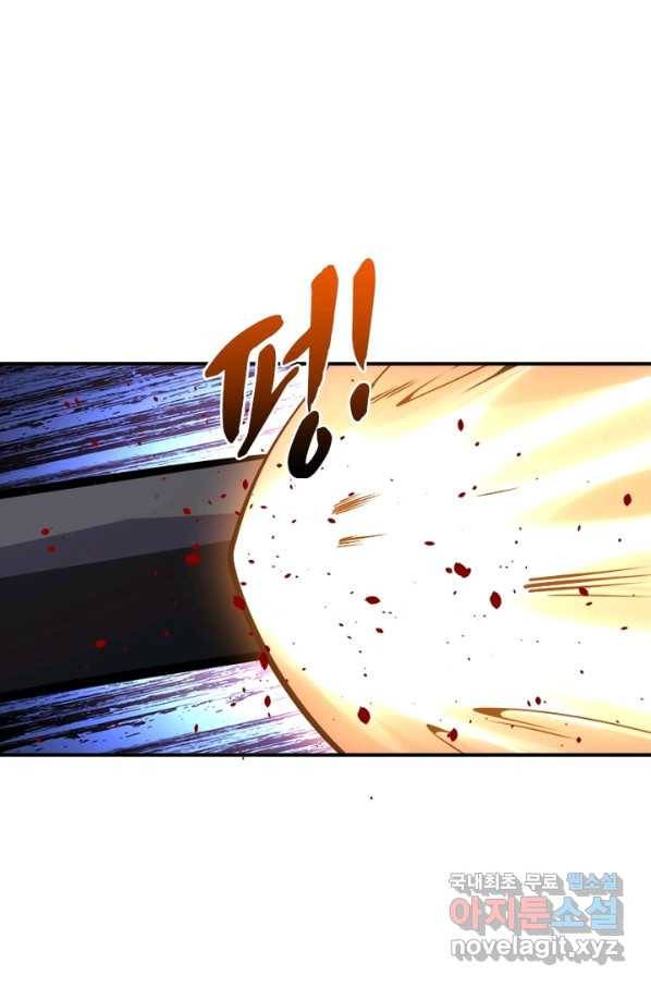 링 오브 가디언 199화 48