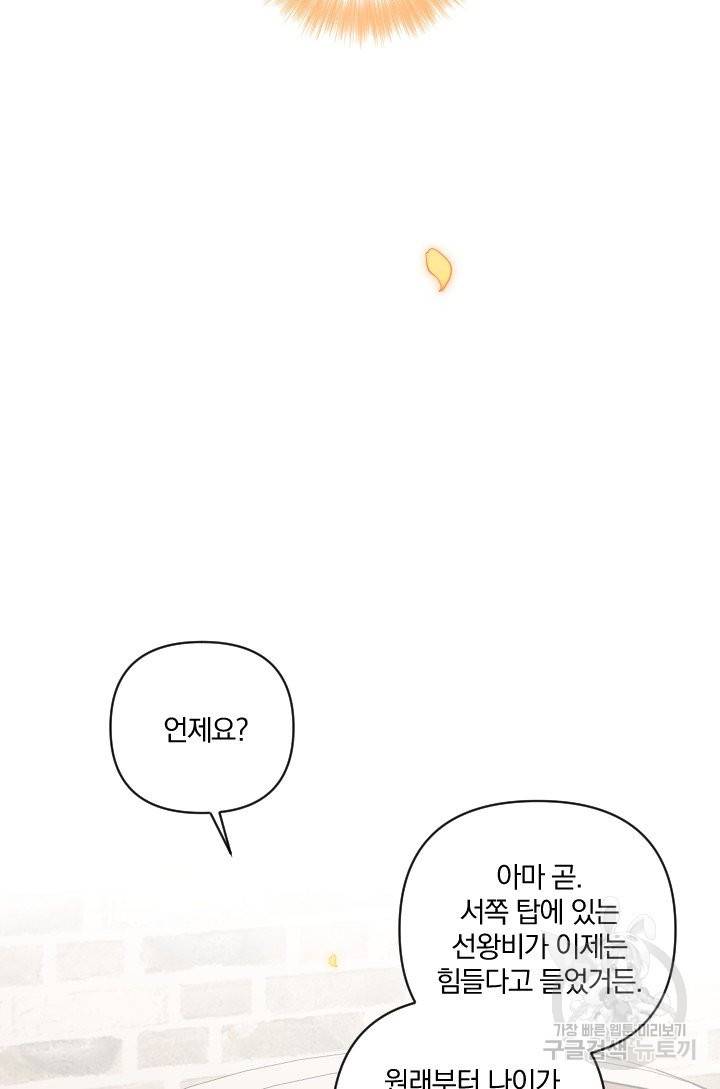 TL 소설 속 시녀가 되었습니다 65화 21