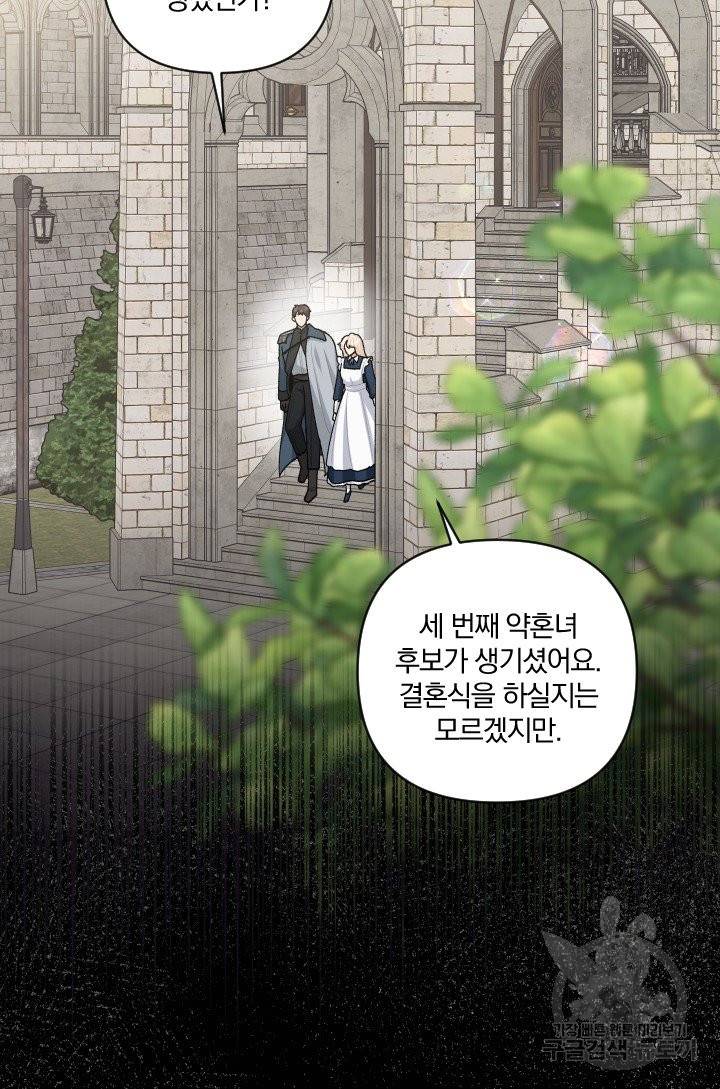 TL 소설 속 시녀가 되었습니다 65화 31