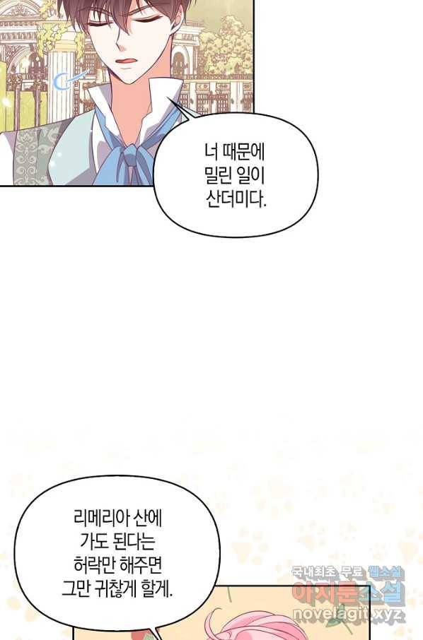 악당 대공님의 귀하디귀한 여동생 72화 10