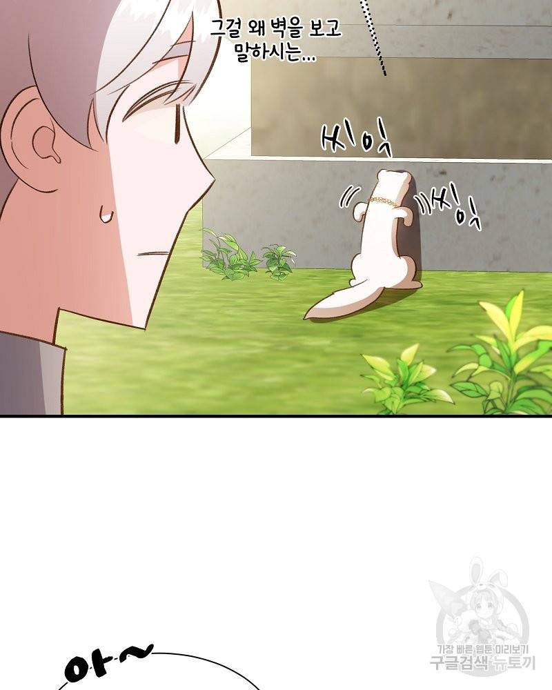 흰 족제비 양에게 죽음을! 30화 2
