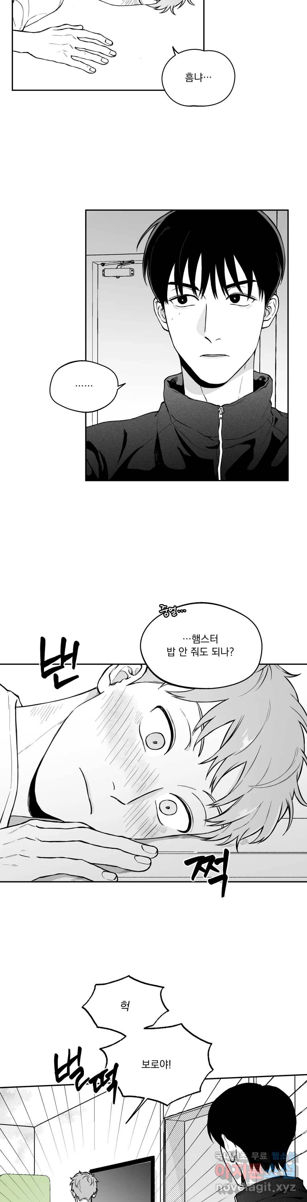 패스, 논패스 48화 북어와 햄스터 01 13