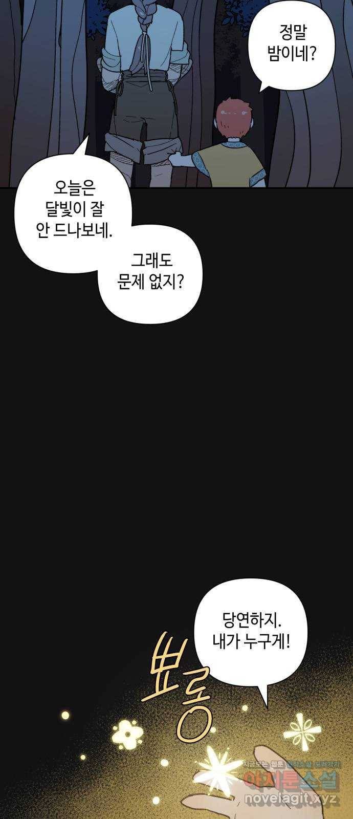 밤을 깨우는 마법 41화 남겨진 빛을 찾아서(5) 34