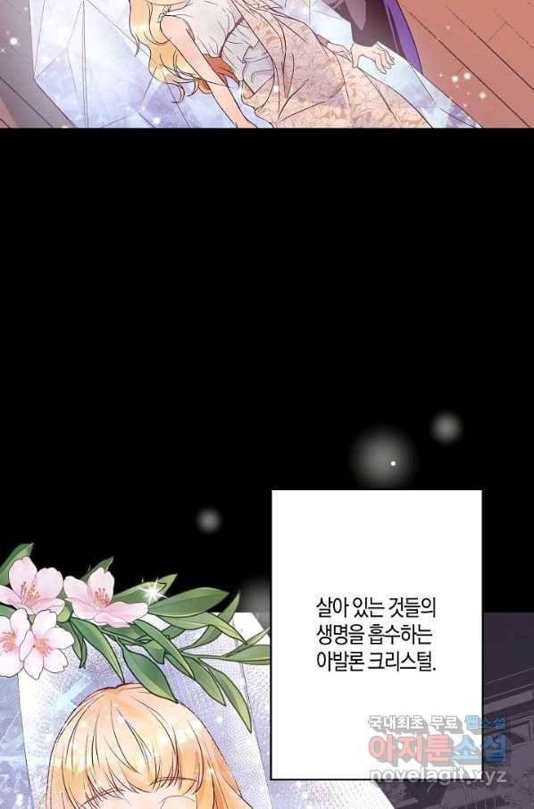 로스트 프린세스 112화 27