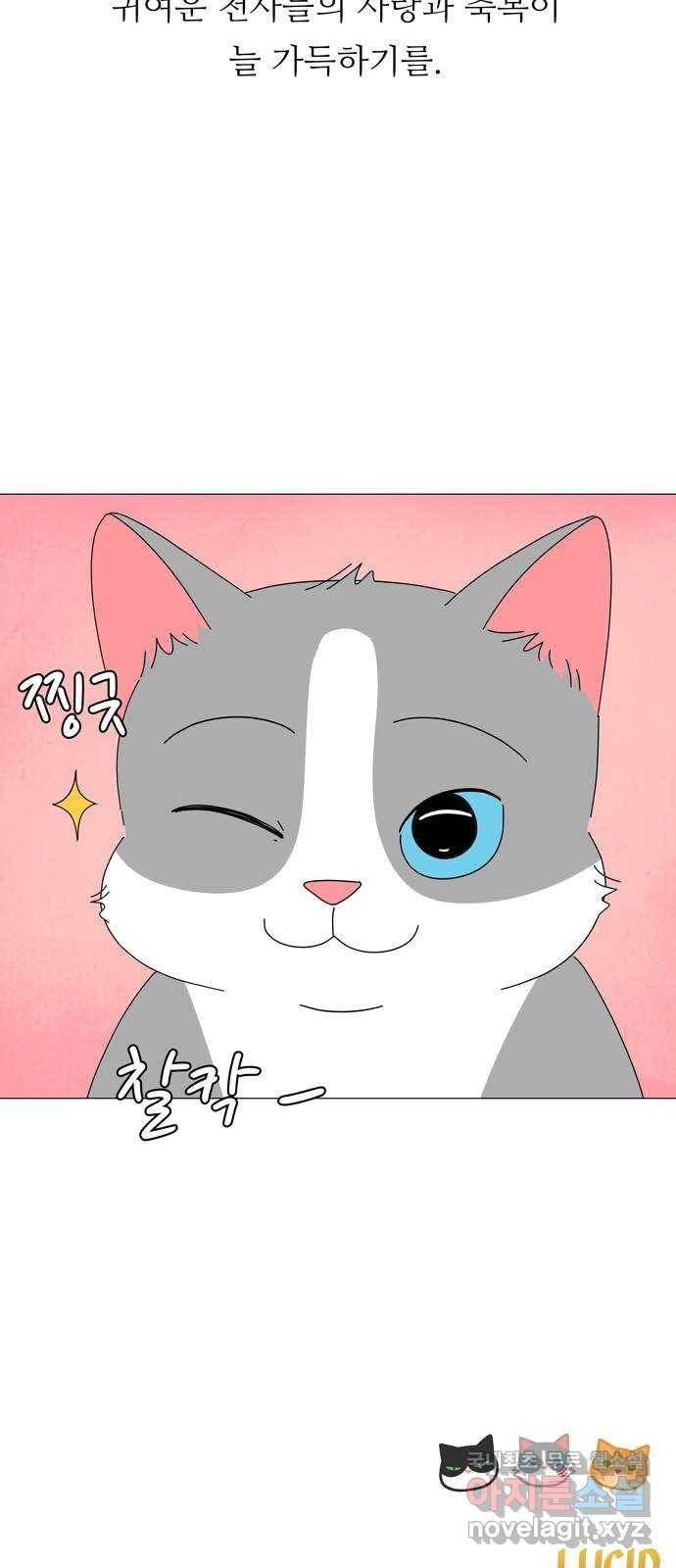 야생천사 보호구역 마지막 화 당신에게 축복을 47