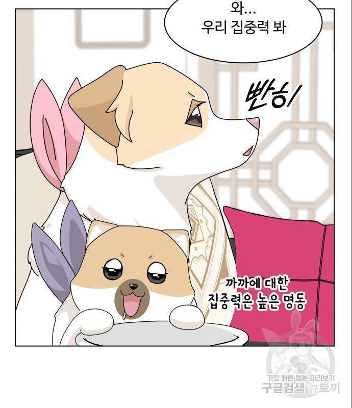 개를 낳았다 시즌2 108화 3