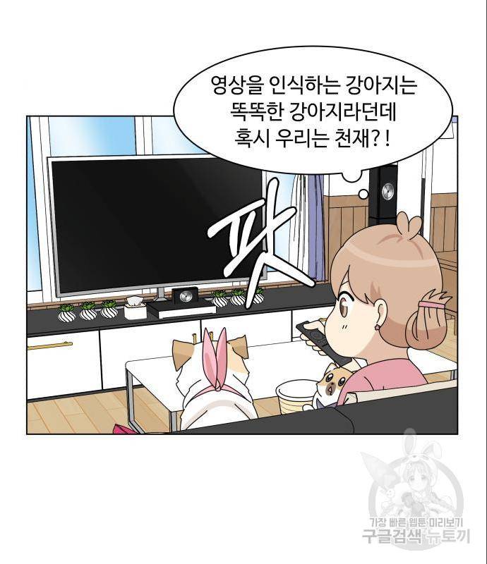 개를 낳았다 시즌2 108화 4