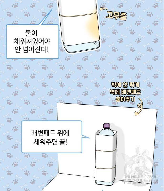 개를 낳았다 시즌2 108화 12