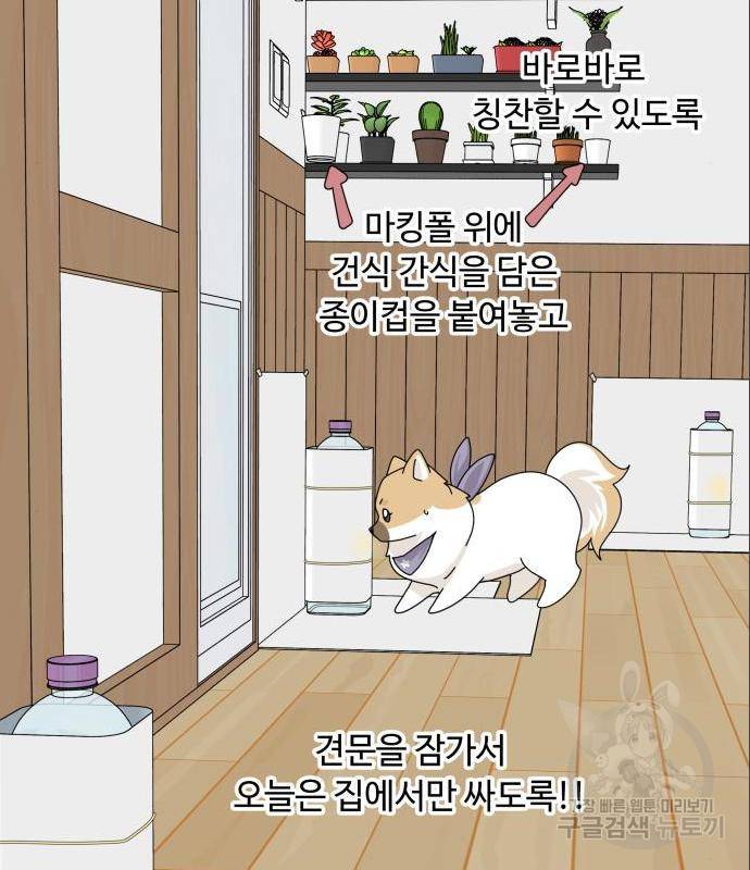 개를 낳았다 시즌2 108화 16