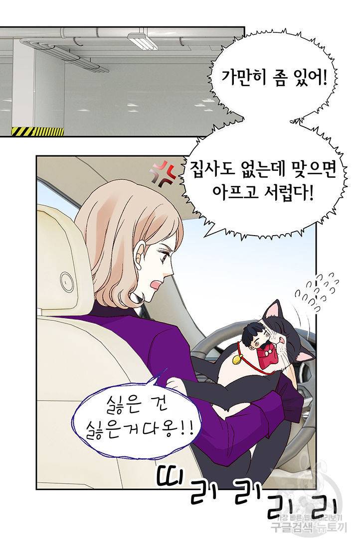 유리구두를 든 남자 80화 14