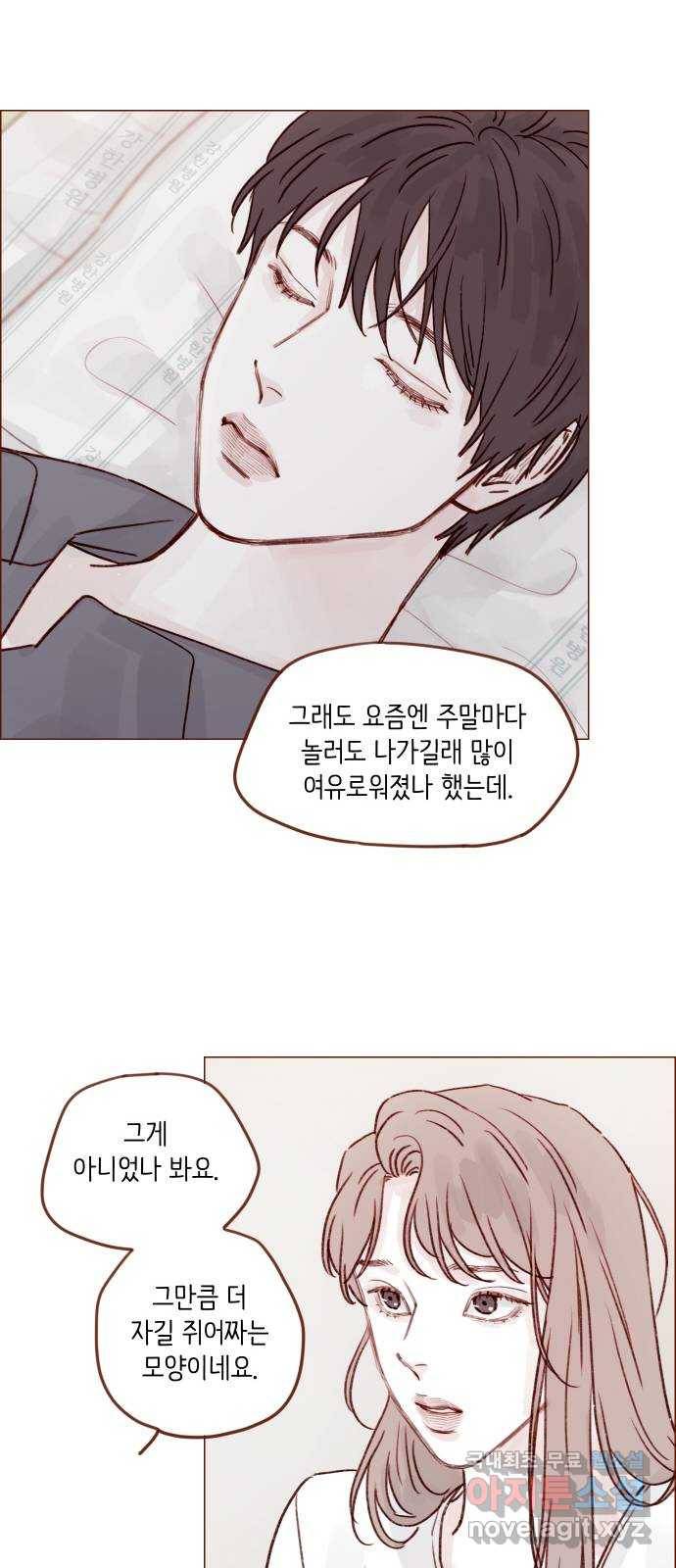 홍시는 날 좋아해! 200화 : 좋아하는 건 나 아니야? 12