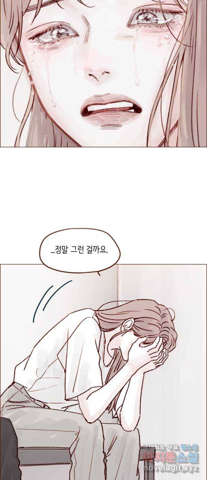 홍시는 날 좋아해! 200화 : 좋아하는 건 나 아니야? 17