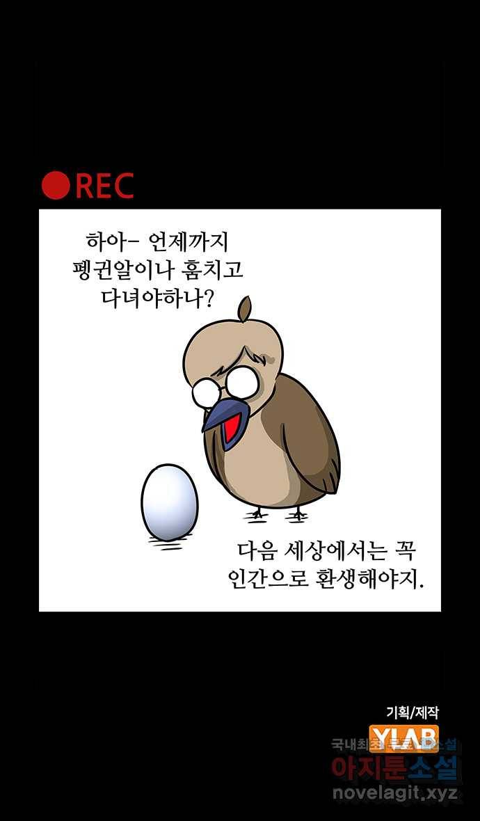 쿠쿠쿠쿠 2화 직업 펭귄 38