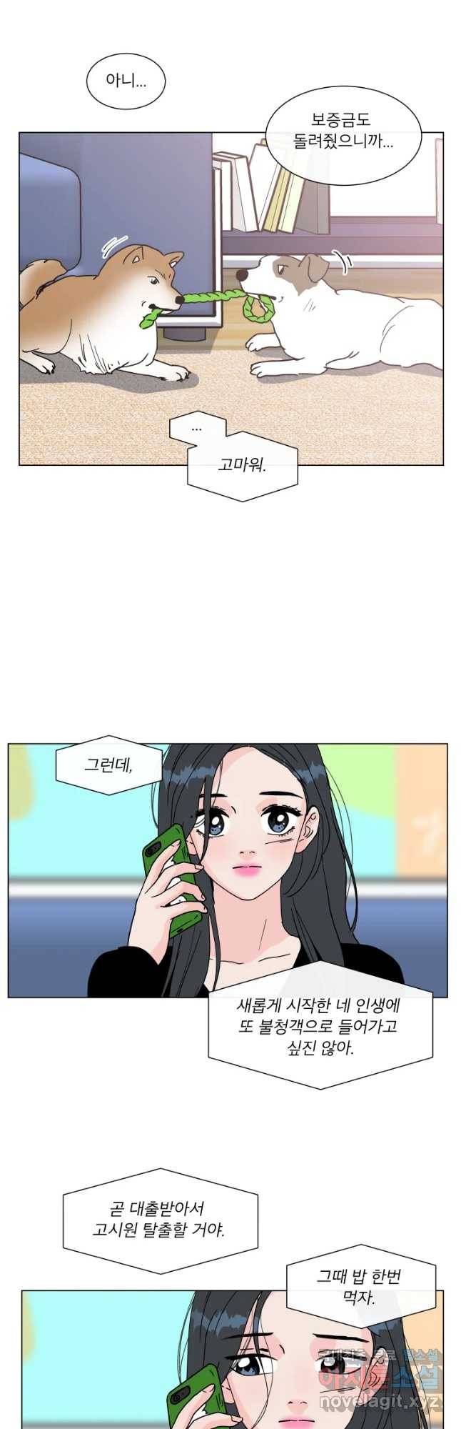 우리집이거든요! 161화 3
