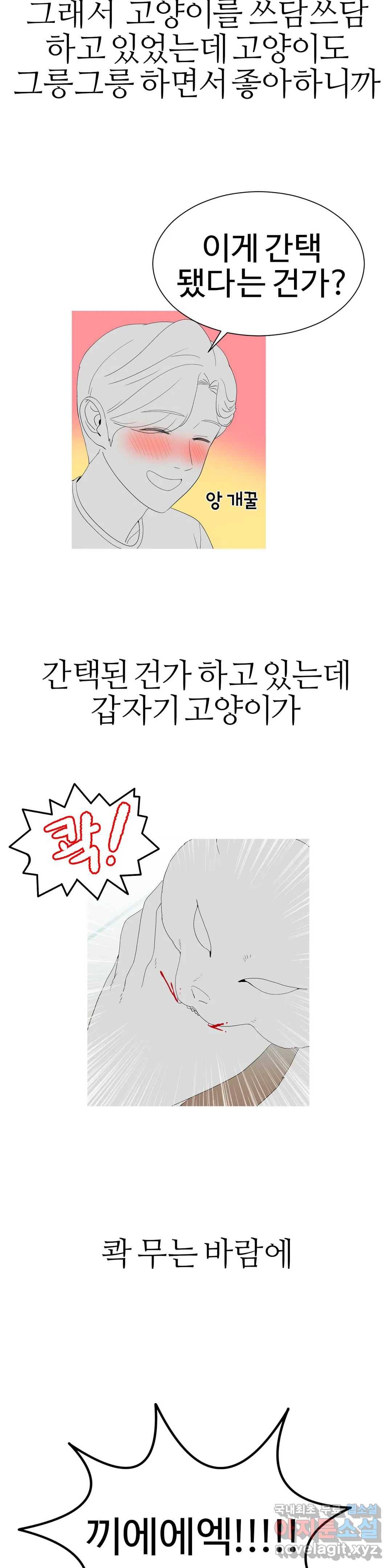도시여우 11화 8