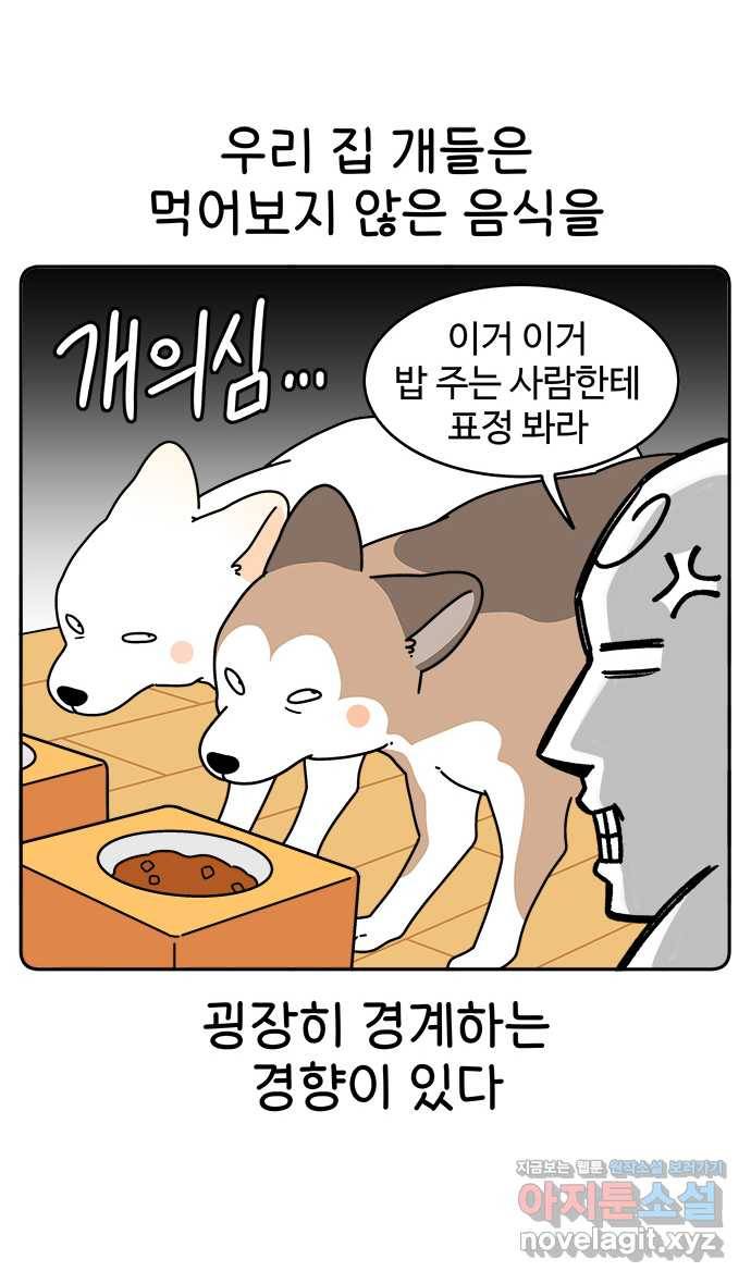먹는 인생 64화 레밍턴 케이크 1