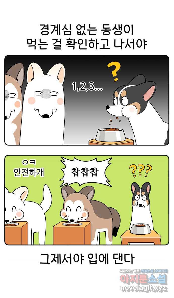먹는 인생 64화 레밍턴 케이크 2