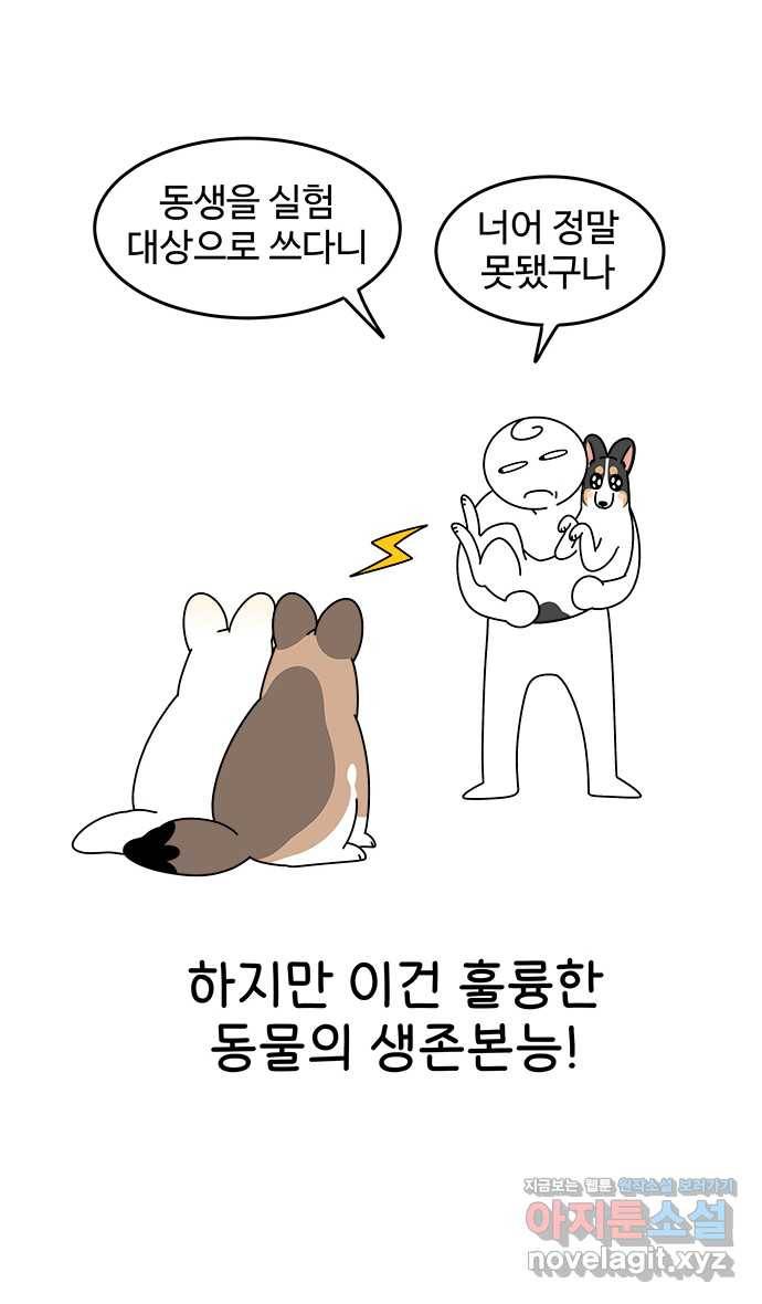 먹는 인생 64화 레밍턴 케이크 3