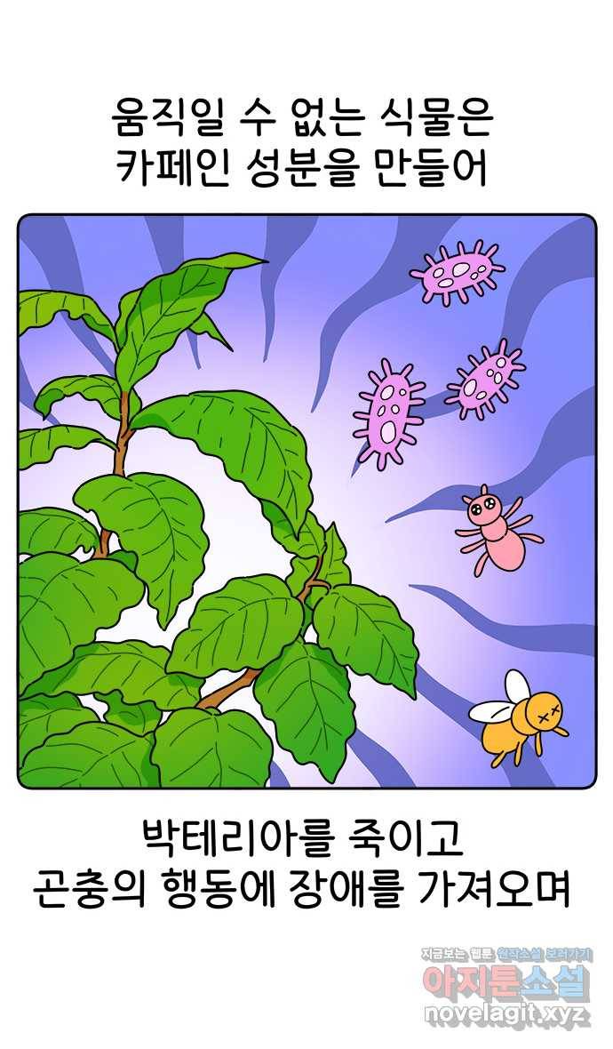 먹는 인생 64화 레밍턴 케이크 6