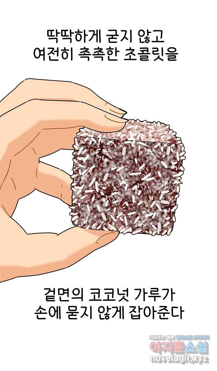 먹는 인생 64화 레밍턴 케이크 14