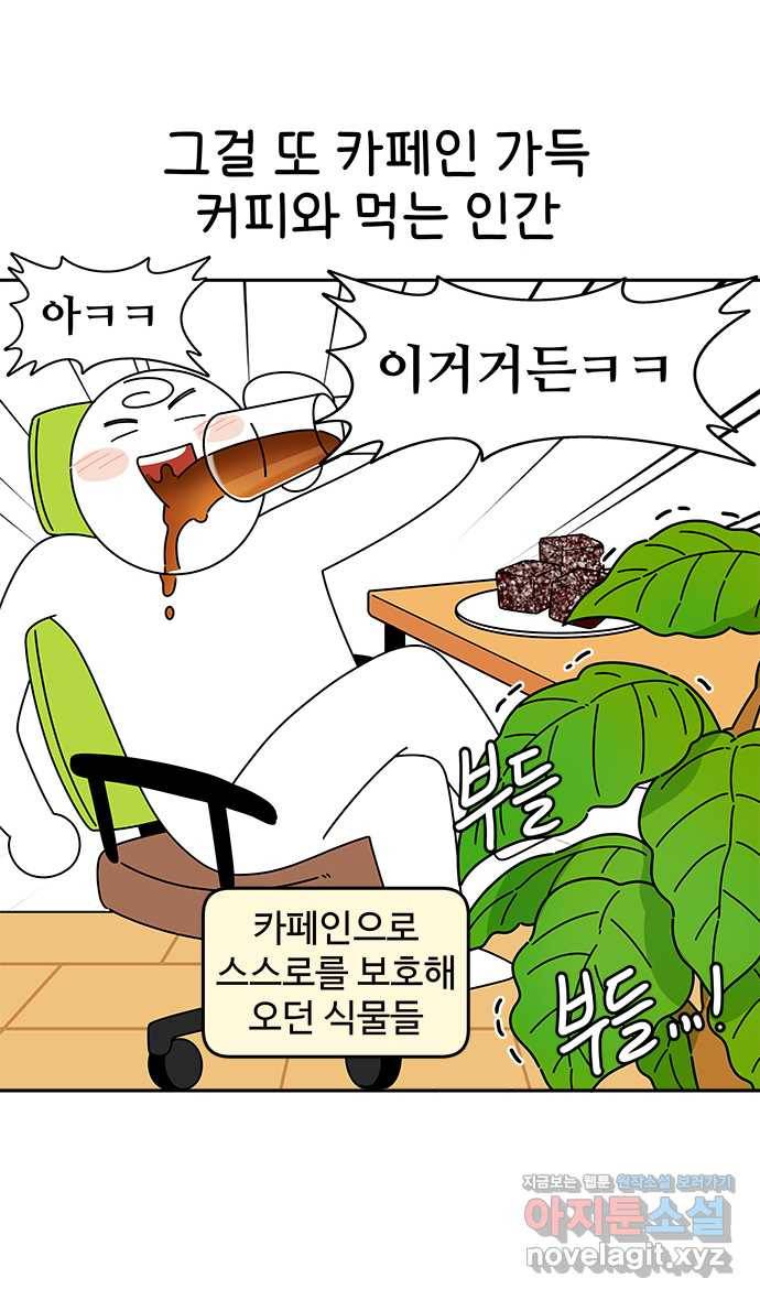 먹는 인생 64화 레밍턴 케이크 20