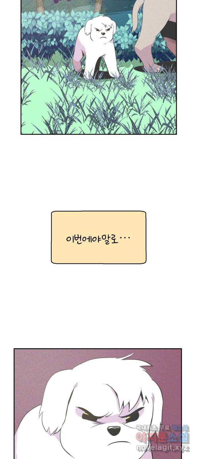 개와 사람의 시간 13화 8