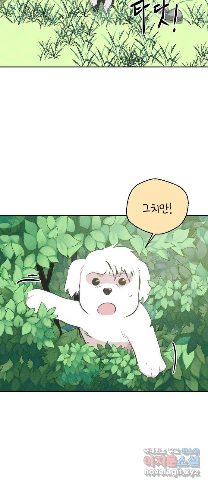 개와 사람의 시간 13화 15