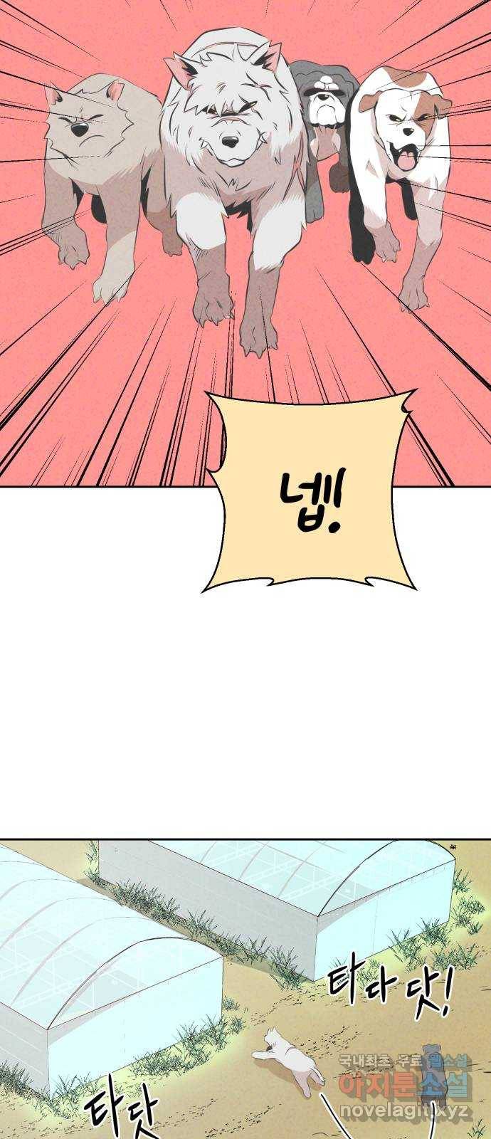 개와 사람의 시간 13화 17