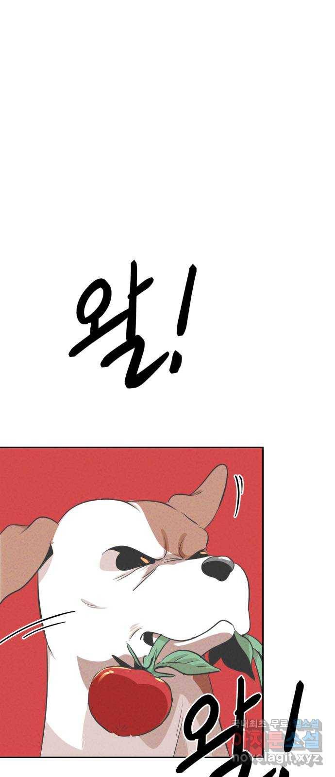 개와 사람의 시간 13화 33