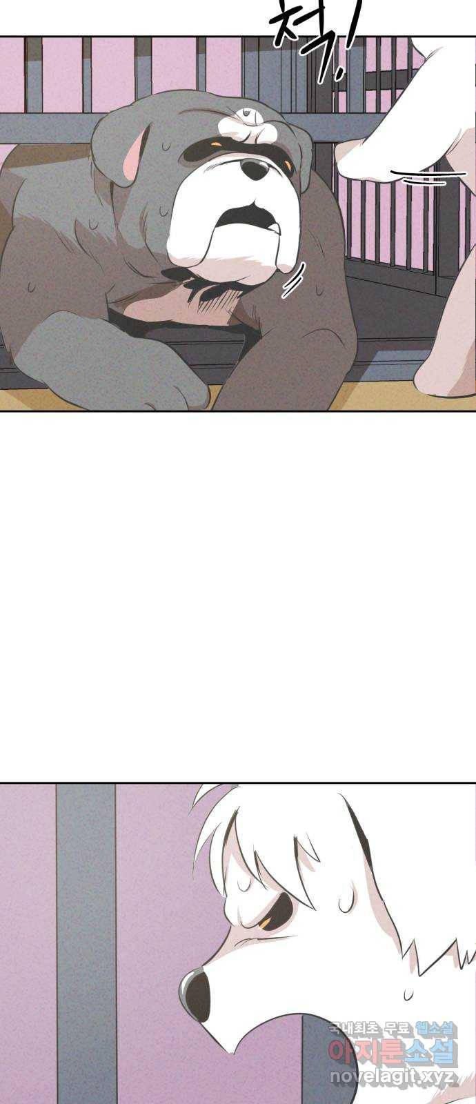 개와 사람의 시간 13화 39