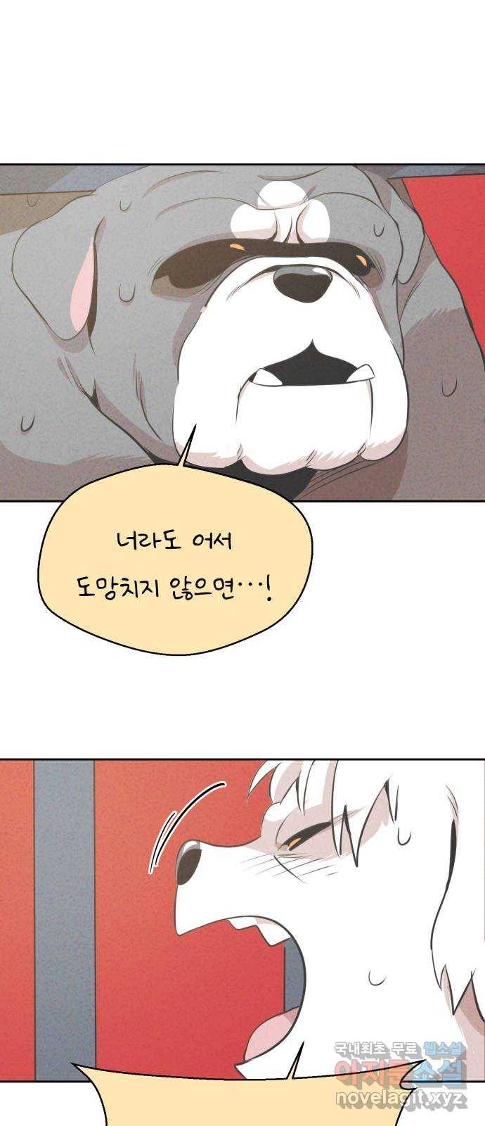 개와 사람의 시간 13화 41