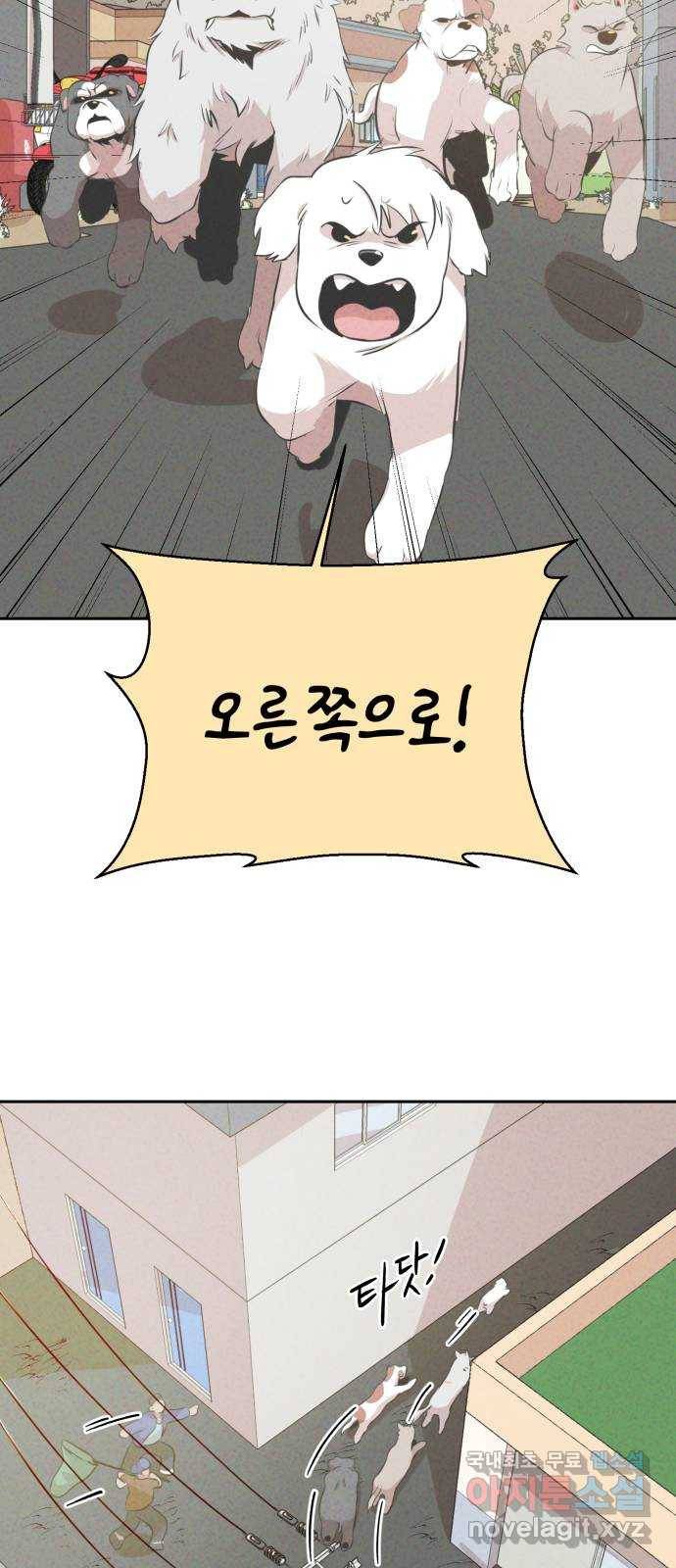 개와 사람의 시간 13화 48