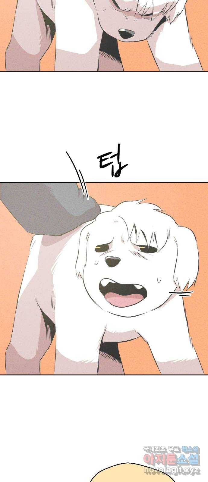 개와 사람의 시간 13화 54