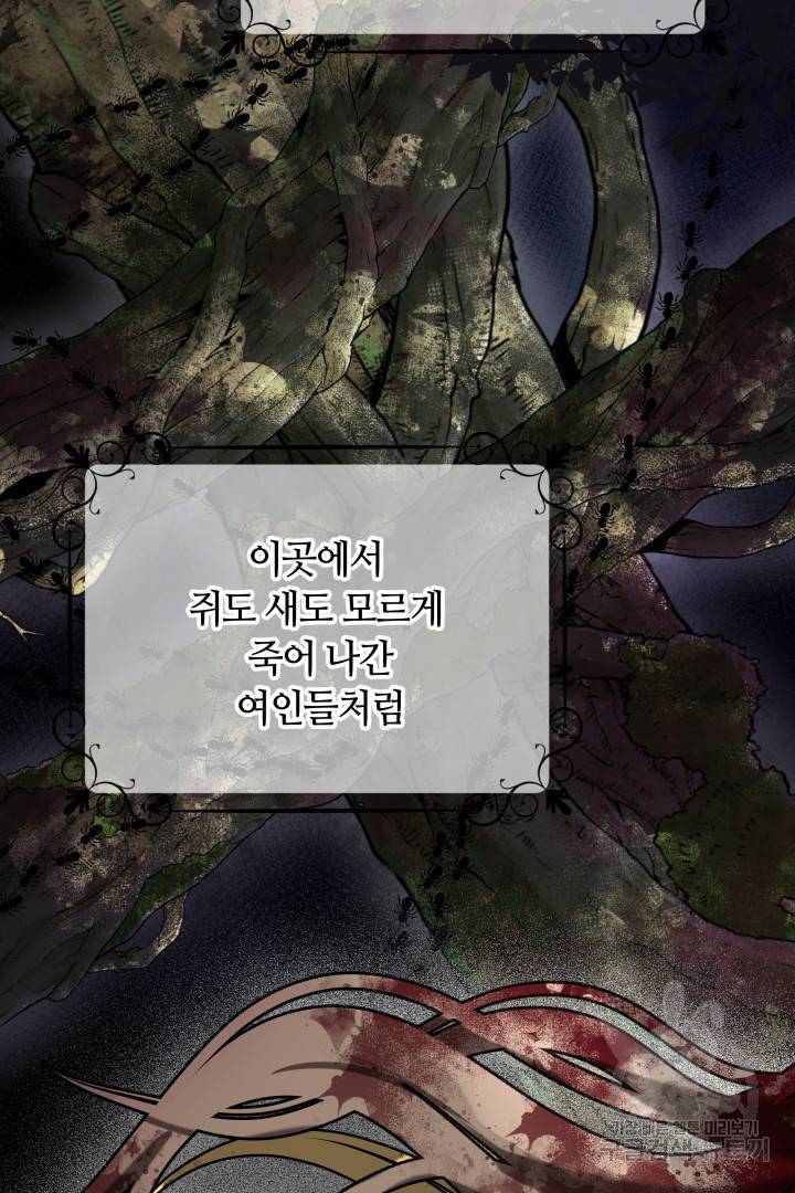나의 황제께 붉은 월계수 꽃을 7화 113