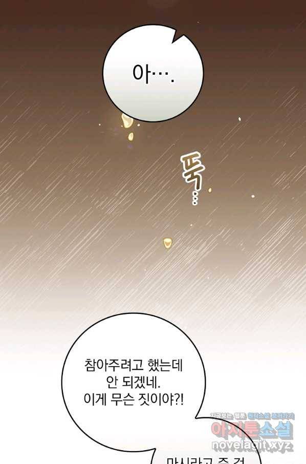 동화 속 악역의 완벽한 엔딩 플랜 41화 44