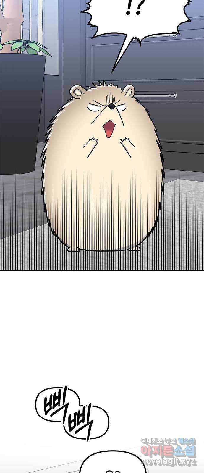베어케어 28화 81