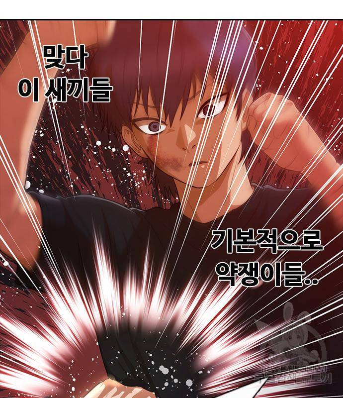 랜덤채팅의 그녀! 255화 48