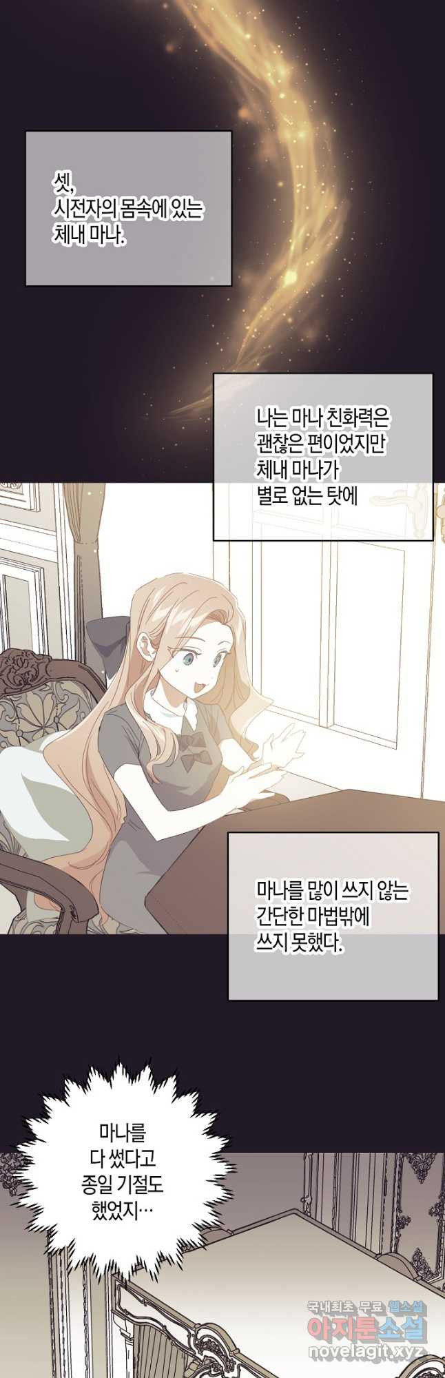 집착 서브 남주를 키웠습니다 43화 27